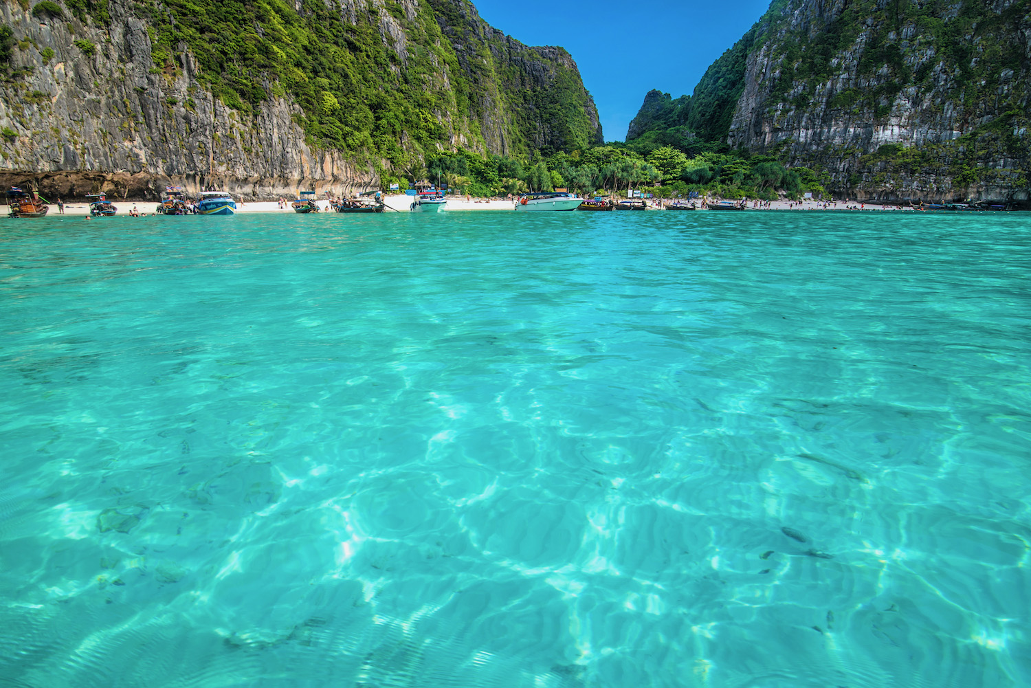 Is Koh Phi Phi Worth It?