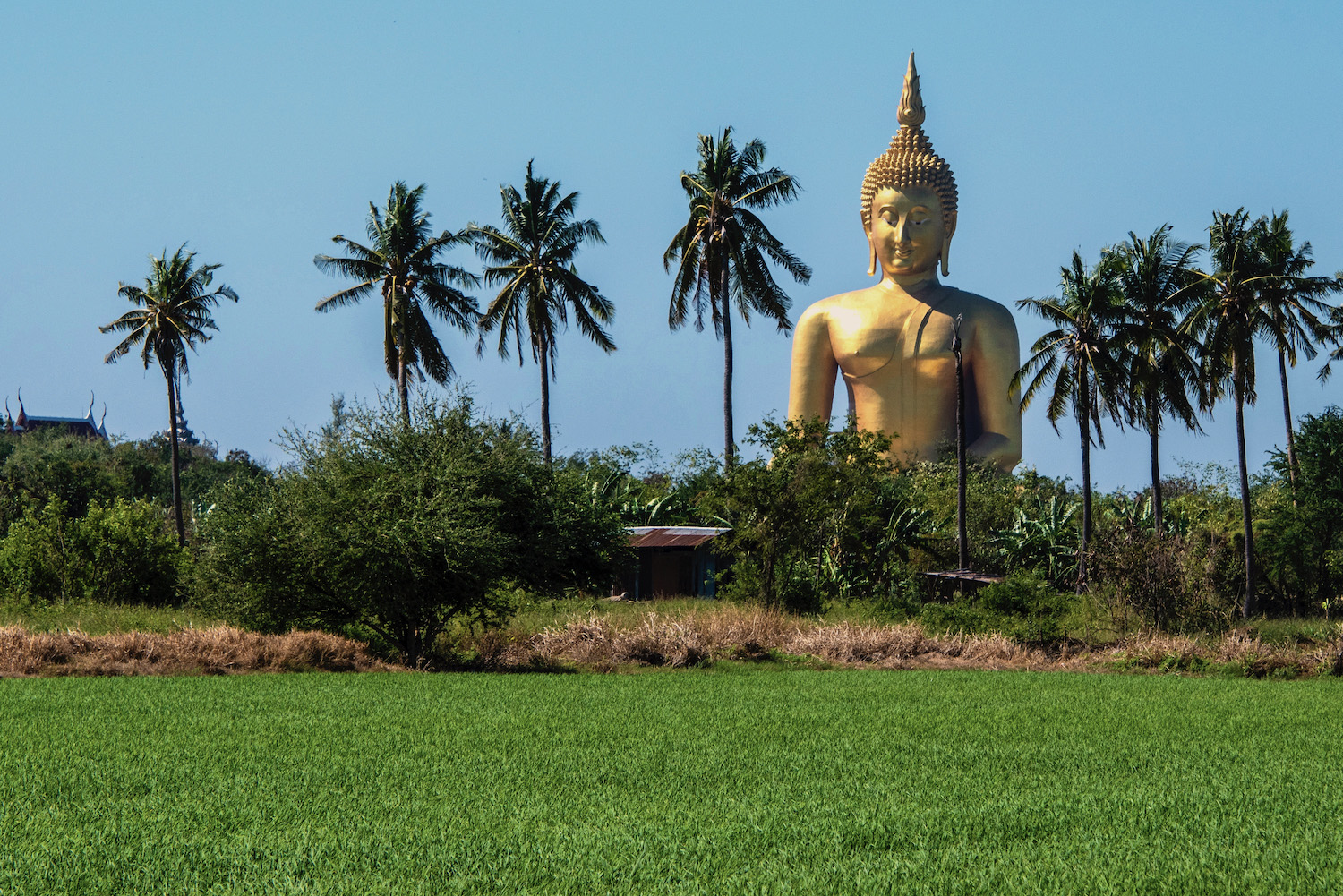 Photo Buddha statue, Thailand